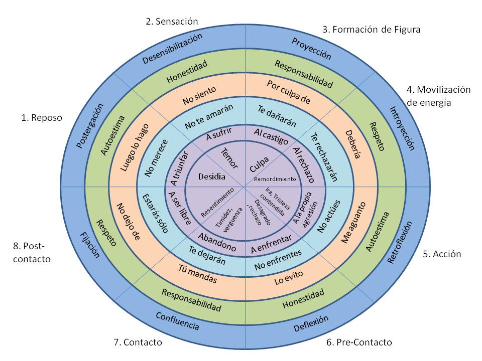 ciclos-de-experiencia.jpg